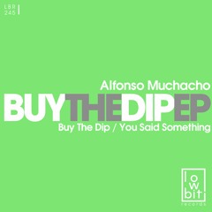 PREMIERE: Alfonso Muchacho - You Said Something (Original Mix) [Lowbit]