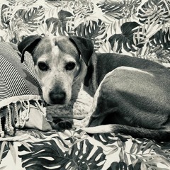 Sunday Tech House Mix