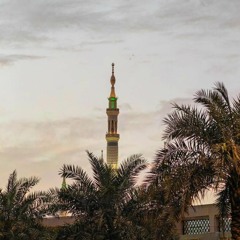 إِنَّكَ لَا تَهْدِي مَنْ أَحْبَبْتَ | ما تيسر من سورة القصص | العفاسي
