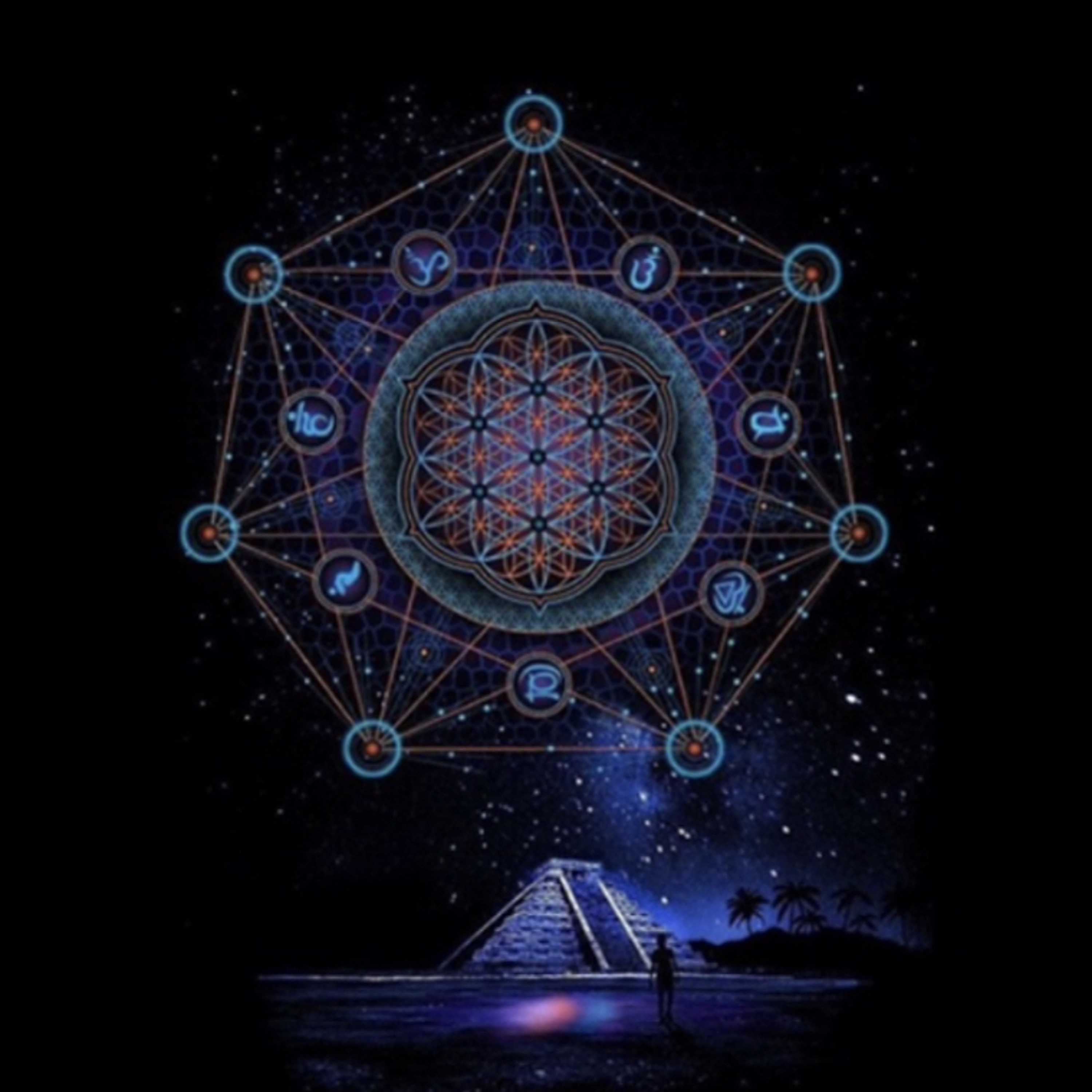 Paradise episode artwork