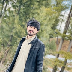 De_Zarke_pa_Shan_Garzi_New_Song_2020(256k).mp3