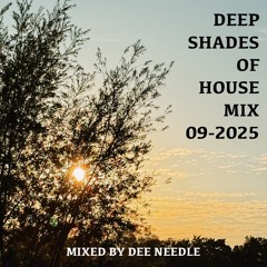Deep Shades Of House Mix 09-2025