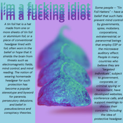 I'm a fucking idiot