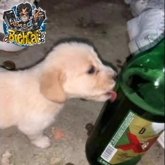 BrehCat - NightCore and Melodies (Cantaditas VS NewStyle)