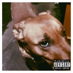 Escombros - Gato.mp3