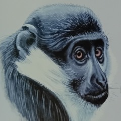 bangers en goeie herrie