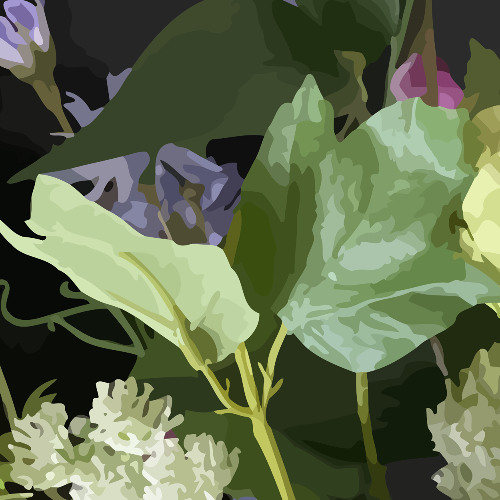 Môr esh môrun en thar ulkorar