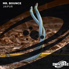 Mr. Bounce - Jaipur
