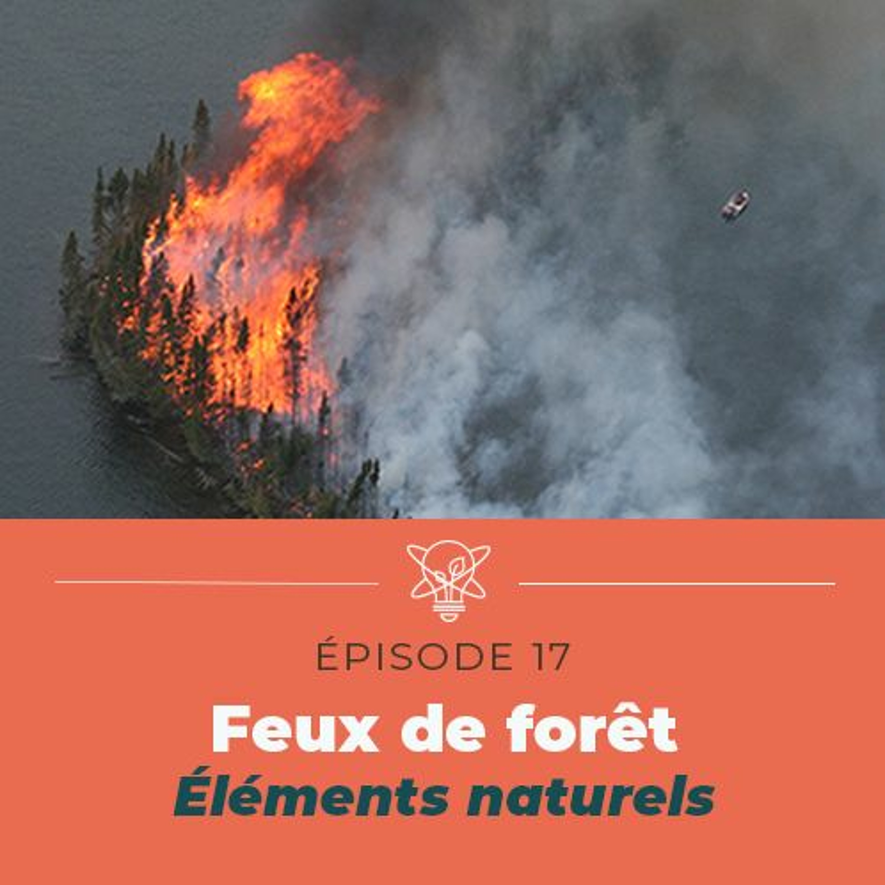 La science simplifiée
