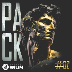 GABRIEL BRUM - PACK #02