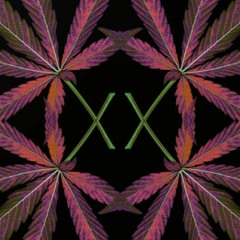 *FREE DL* LeshFM Makatak DJ Set 17-4-20 AKA "One Last Dance RMX" [Dark Full-On Melodic Psychedelic}