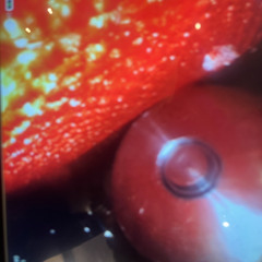 ALYA7H (Salyah) - technologia hybrid live январь 2025