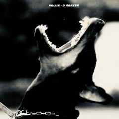 VOLUM - D AGRZER