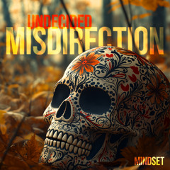 UNDECIDED MISDIRECTION