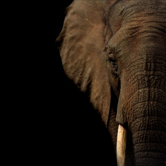 Reflections S. Fil 5th March 2026 Podcast Version