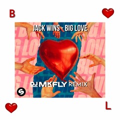 Jack Wins - Big Love (DJ MkFly Remix)[Spinnin' Records Contest]