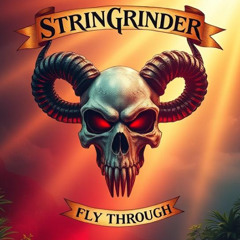 Fly Through