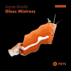 PREMIERE – Joyce Muniz – Glass Mistress (Pets Recordings)