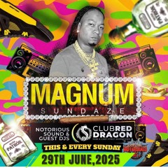 NOTORIOUS INT SOUND "DJ MAGNUM🇬🇾/SEENUP🌏" @MAGNUM SUNDAZE "CLUB RED🚩 DRGAON🐲 29TH JUNE,2025.mp3