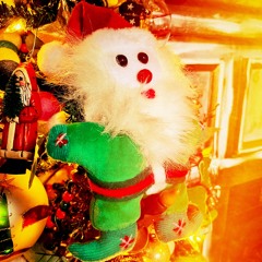 Field Recording: Knickerboker Ave (Bushwick, Brooklyn) Dollar Store Xmas Lights