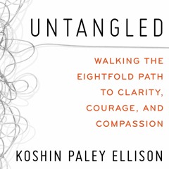 Untangled by Koshin Paley Ellison Read by Koshin Paley Ellison - Audiobook Excerpt