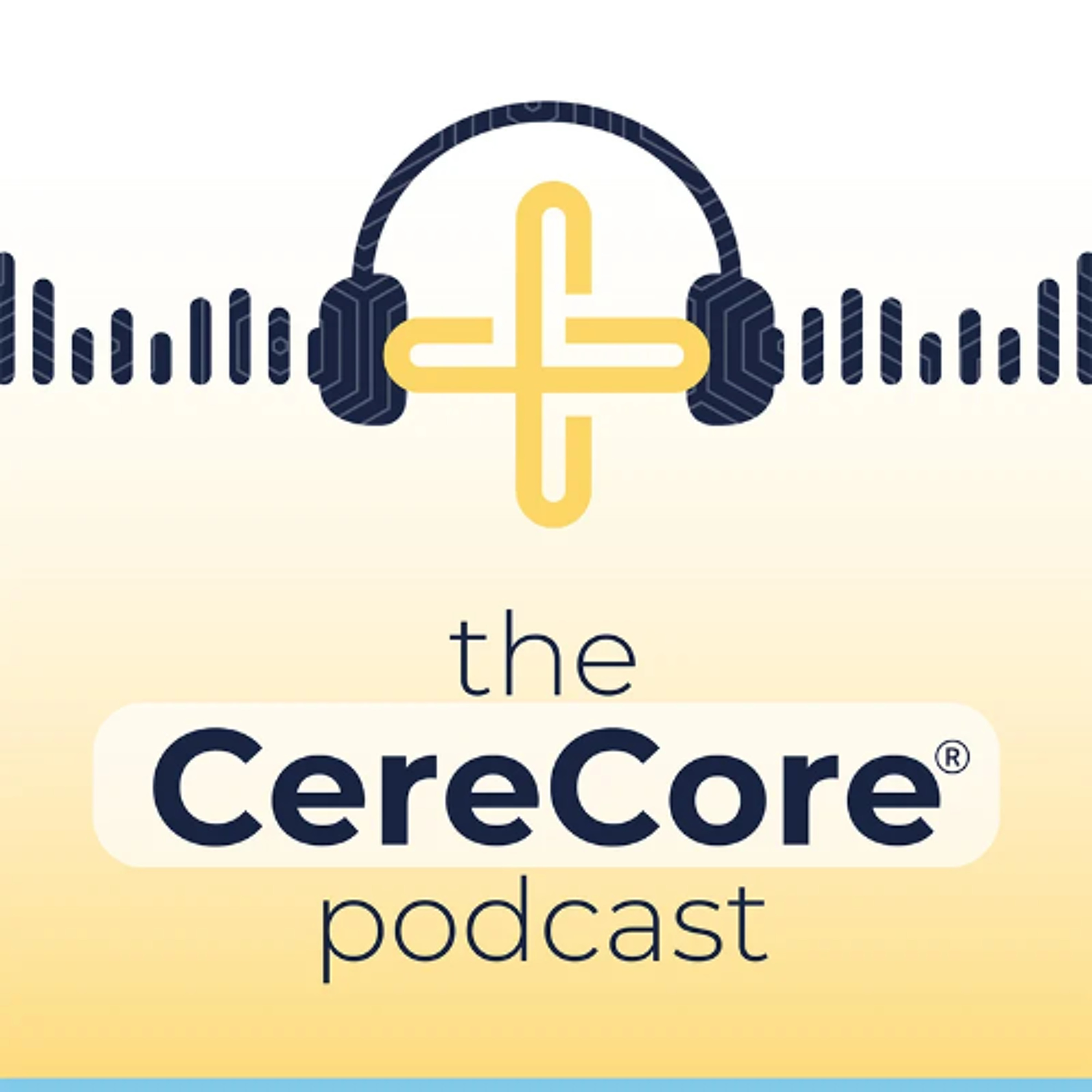 Healthcare NOW Radio Podcast Network - Discussions on healthcare including technology, innovation, policy, data security, telehealth and more. Visit HealthcareNOWRadio.com
