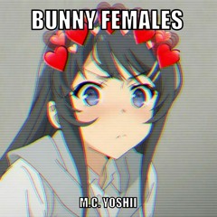 (SPOTIFY)Bunny Females(Fukashigi No Carte Remix)