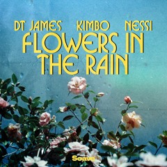 DT James & Kimbo - Flowers In The Rain (feat. Nessi)