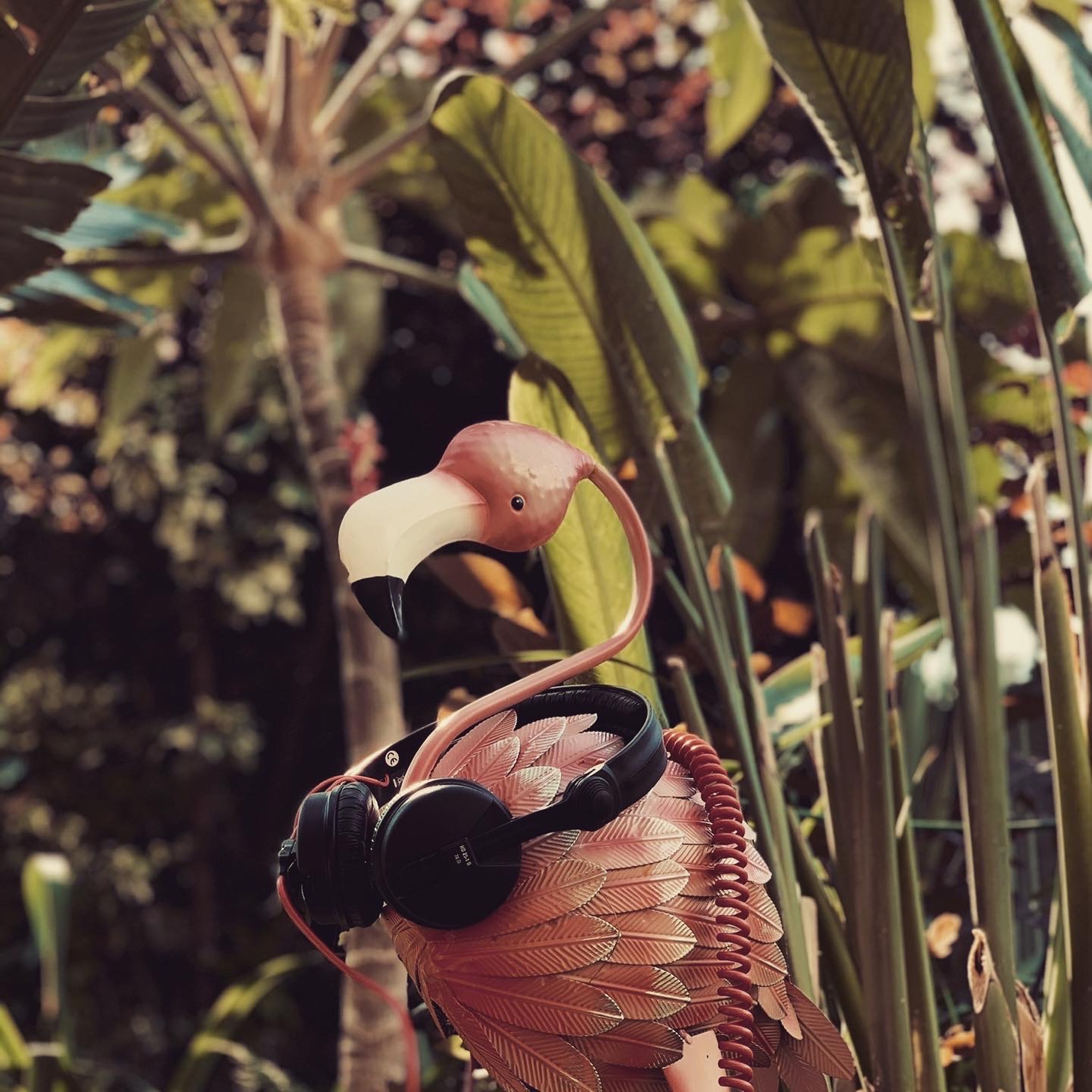 Tropical Techno Podcast