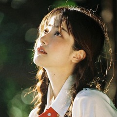 Hòn Đảo Rừng Rậm - Triệu Nãi Cát -- 岛屿森林 - 赵乃吉