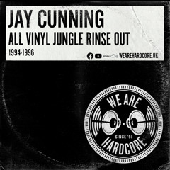 All Vinyl 1994-1996 Jungle Rinse Out