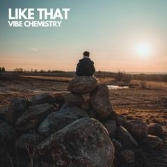 Vibes Chemistry -  Living Like This (Deegz Dont Fxck About Remix) ***FREE DOWNLOAD***