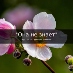 песня "Она не знает" (сл. Дмитрий Романов)
