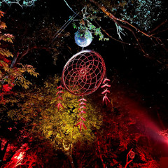 Sommerfest.ival Dranske I 26.7.25 I Wald Floor