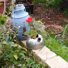 قل للذي جد بالاظعان يا حادي