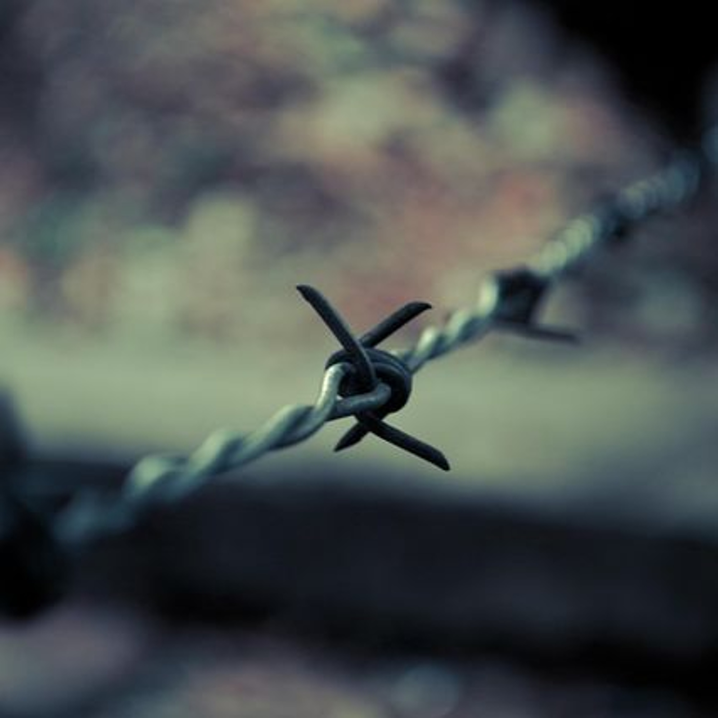 They Released Our Kidnapped—While Calling for More Blood - The Tamar Yonah Show