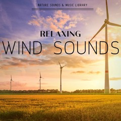 Howling Wind Sounds
