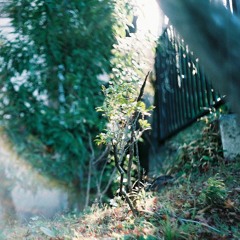 想うということ