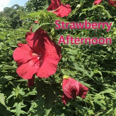 Strawberry Afternoon (The Thief of Mornings, Part One)