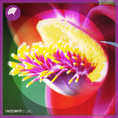 Redolent Music Radio