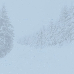 Flake