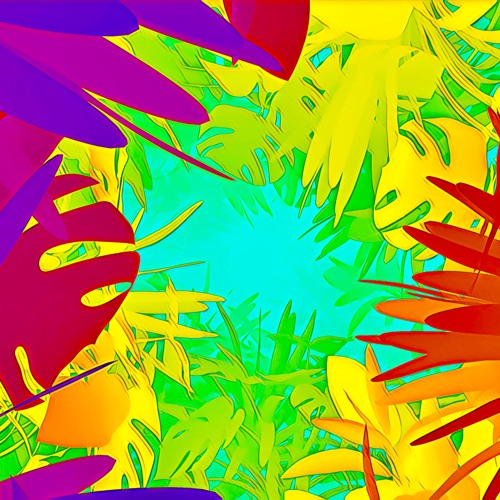 A Little Bit Of Funk // (02.05.24)