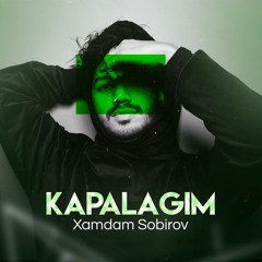 Qora kapalak
