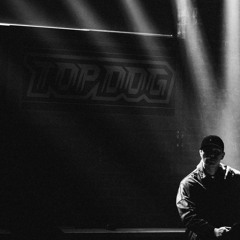 TOP DOG 2