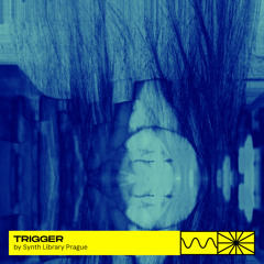 Trigger 02/24 by Synth Library Prague