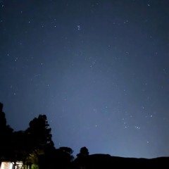 Tate Nights Like This