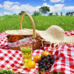 Lunch in the park
