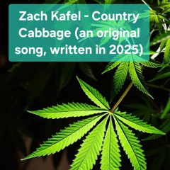 Zach Kafel - "Country Cabbage" 2025-03-23 recorded at 21:42:57