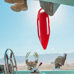 Burning Man 2025 - Tower 69