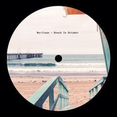 Neritaan - Beach In October (Original Mix)